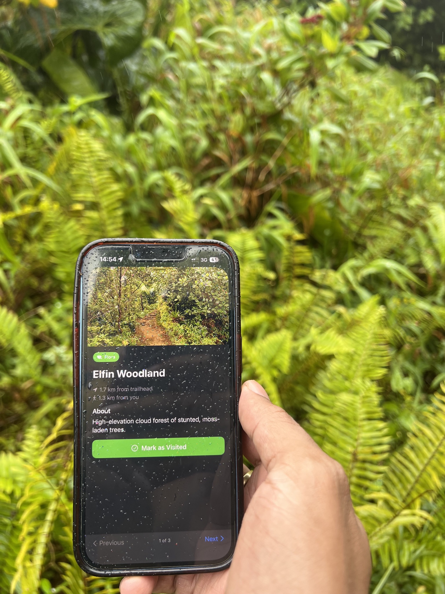 Windward Atlas open on a phone with Dominica trail details